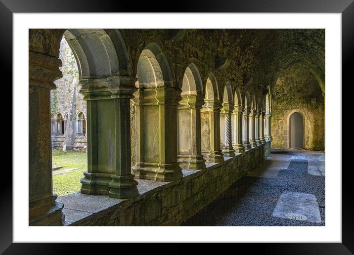 Quin Abbey Framed Mounted Print by Thomas Schaeffer