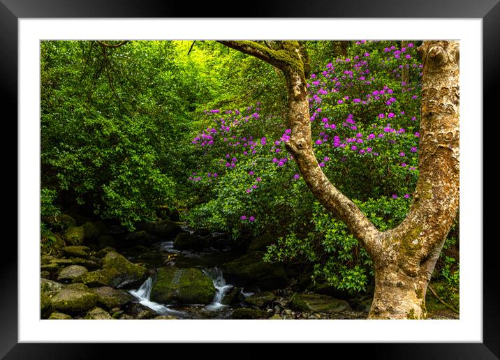 Torc Waterfall Framed Mounted Print by Thomas Schaeffer