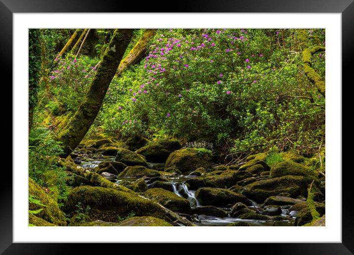 Torc Waterfall Framed Mounted Print by Thomas Schaeffer