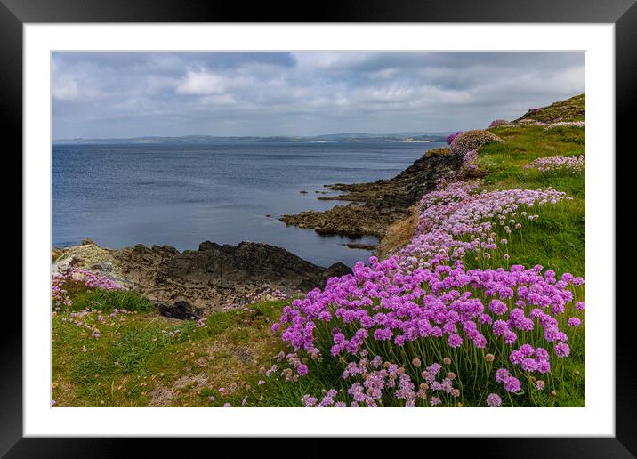 Galley head Framed Mounted Print by Thomas Schaeffer