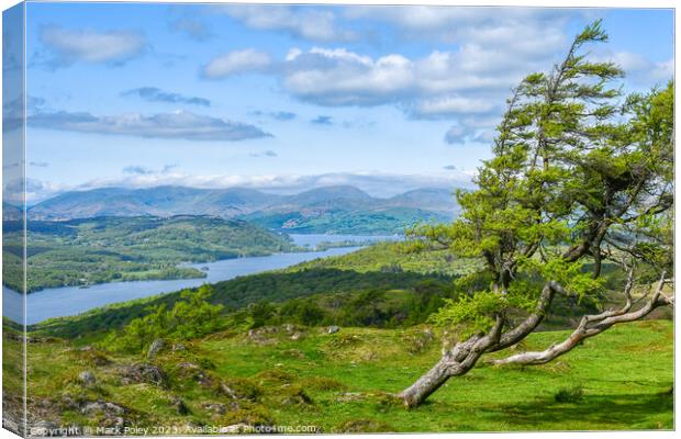 Windermere Lake and Gummers How Canvas Print by Mark Poley