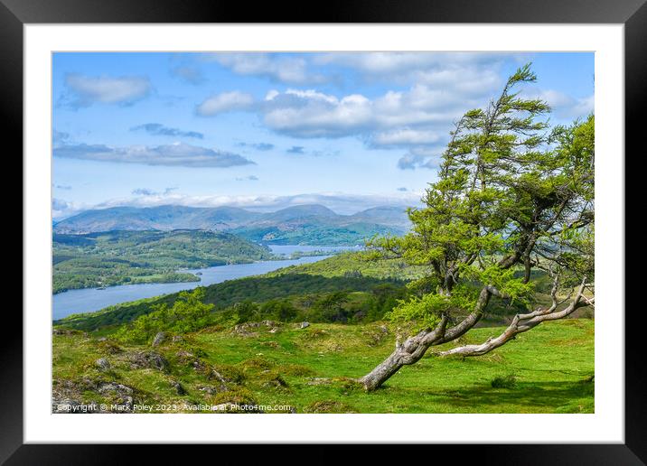 Windermere Lake and Gummers How Framed Mounted Print by Mark Poley