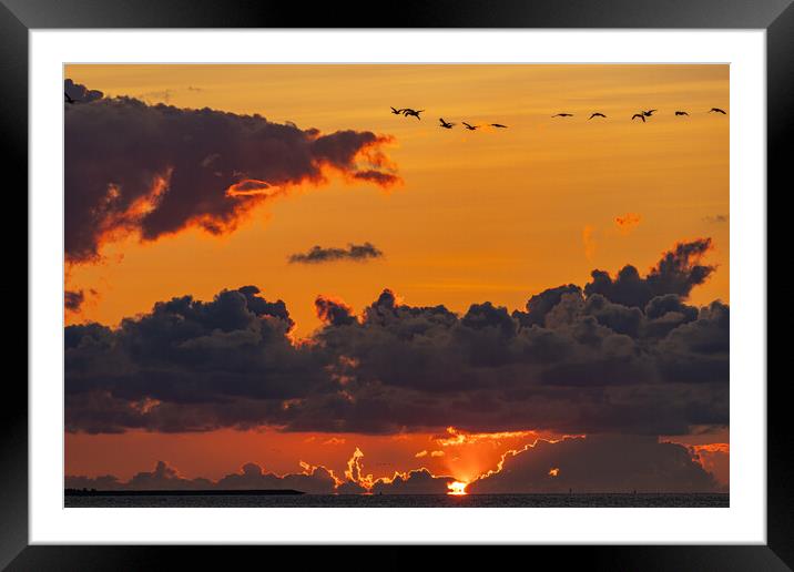 Sunset am Holmersiel Framed Mounted Print by Thomas Schaeffer