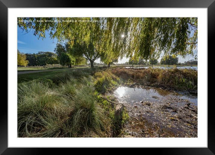 winter sun reflection in a pond Framed Mounted Print by Kevin White