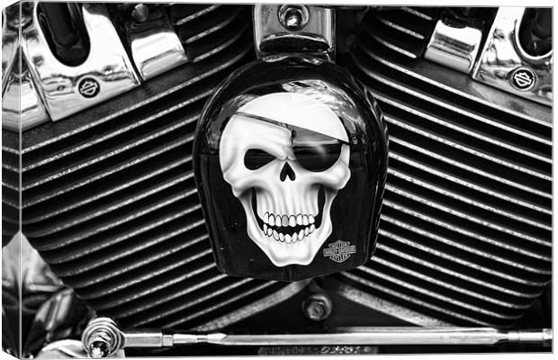 Bad to the bone! Canvas Print by Clare FitzGerald