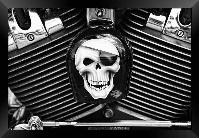 Bad to the bone! Framed Print by Clare FitzGerald
