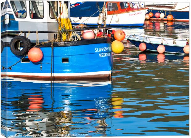 Harbour Reflections at Lyme Regis Canvas Print by Susie Peek