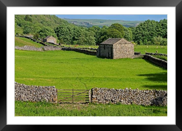 Grassington Stone Barns - Yorkshire Dales Framed Mounted Print by Martyn Arnold