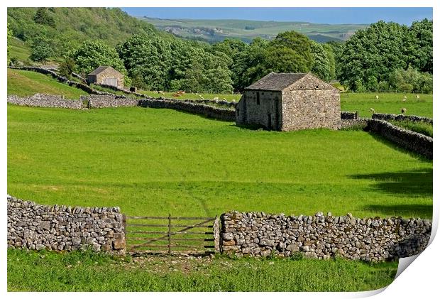 Grassington Stone Barns - Yorkshire Dales Print by Martyn Arnold