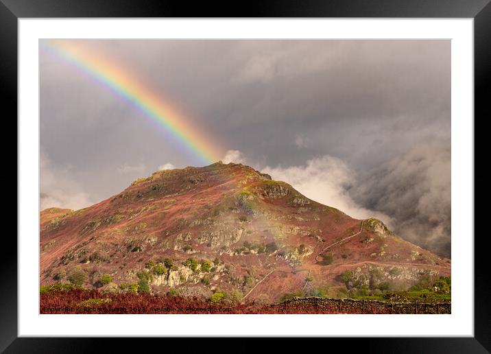 Autumn Rainbow Mountain Framed Mounted Print by Richard North