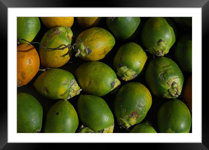 Eracanuts Framed Mounted Print by Hassan Najmy