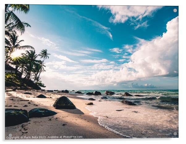 Nicaragua Beach Acrylic by Florin Bota