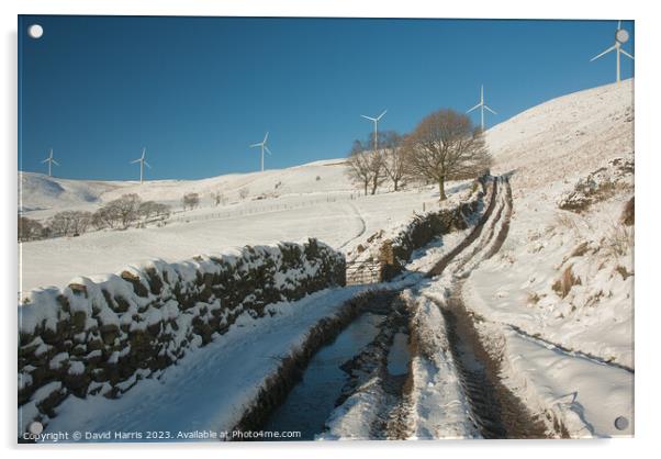 Walk to the Windfarm Acrylic by David Harris
