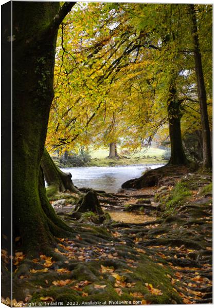 Autumn in Betws-y-coed, North Wales Canvas Print by Imladris 