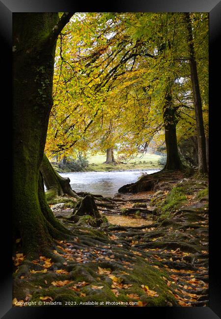 Autumn in Betws-y-coed, North Wales Framed Print by Imladris 