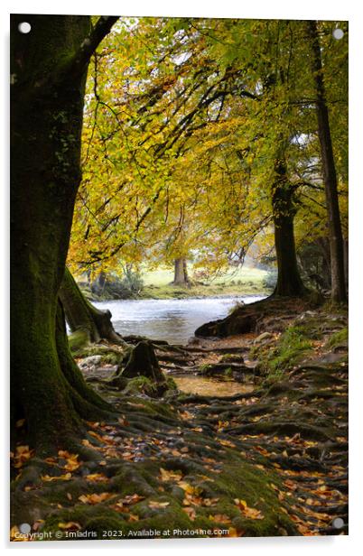 Autumn in Betws-y-coed, North Wales Acrylic by Imladris 