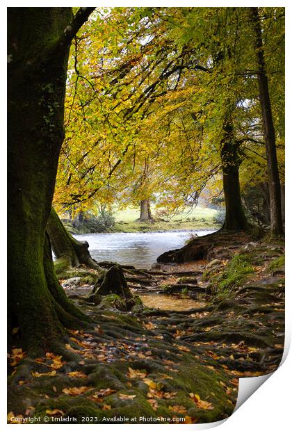 Autumn in Betws-y-coed, North Wales Print by Imladris 
