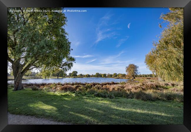 Bushy Park half moon in sky on a bright November morning Framed Print by Kevin White