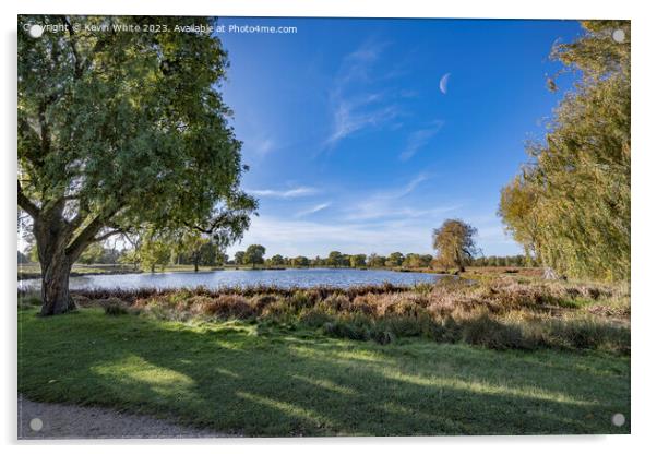 Bushy Park half moon in sky on a bright November morning Acrylic by Kevin White