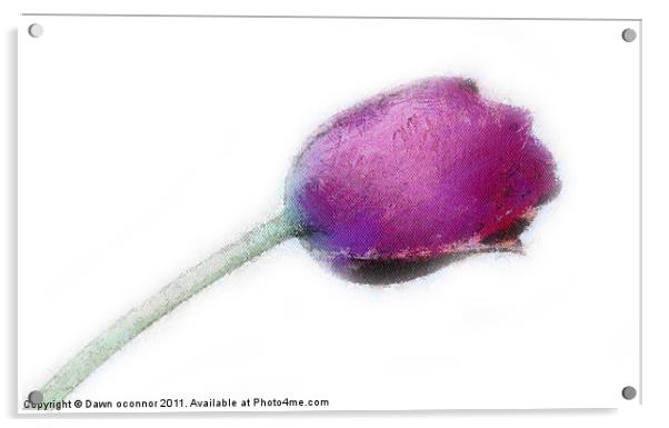 Purple Tulip in Pastel Acrylic by Dawn O'Connor