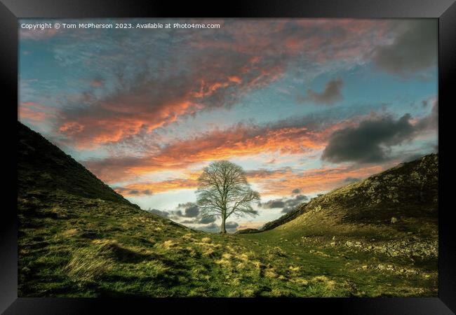 Sycamore Gap Tree Sunset Framed Print by Tom McPherson