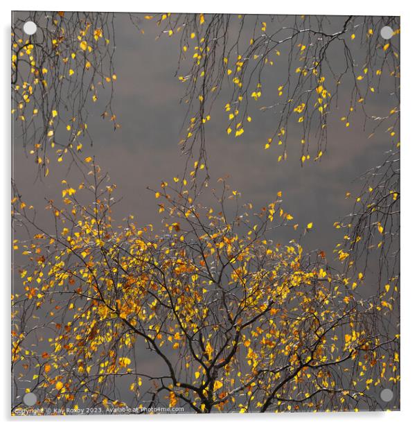 Autumn birch  Acrylic by Kay Roxby