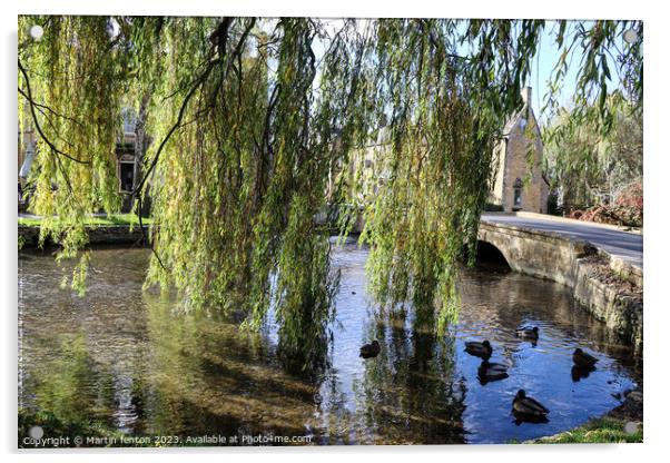 Willow trees in Bourton on the water Acrylic by Martin fenton