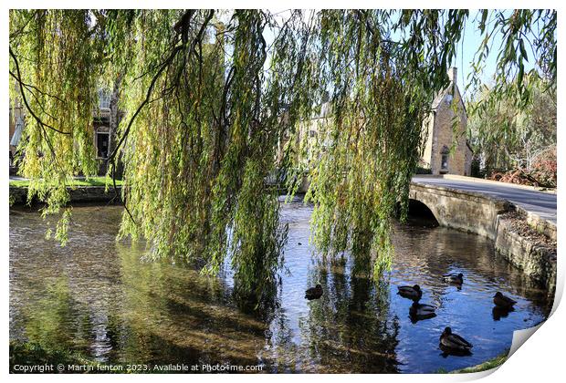 Willow trees in Bourton on the water Print by Martin fenton