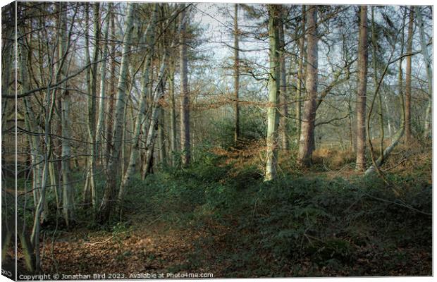 Quiet in the Stillness Canvas Print by Jonathan Bird