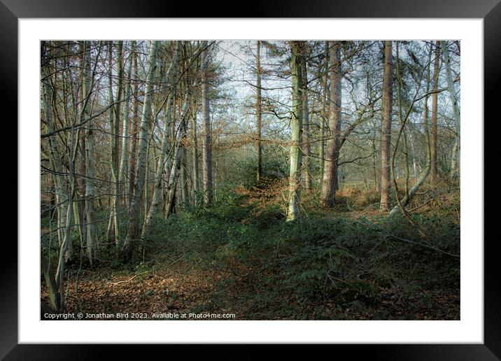 Quiet in the Stillness Framed Mounted Print by Jonathan Bird