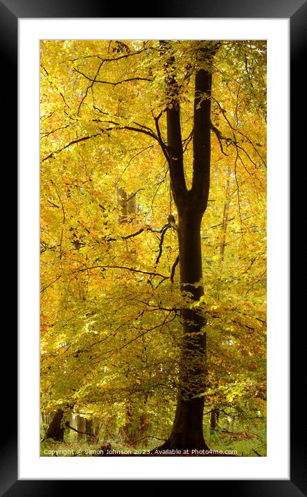 Golden Leaves Framed Mounted Print by Simon Johnson