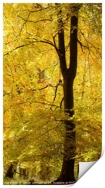 Golden Leaves Print by Simon Johnson