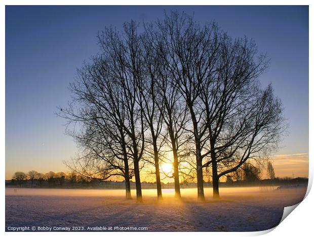 Winter sun Print by Bobby Conway