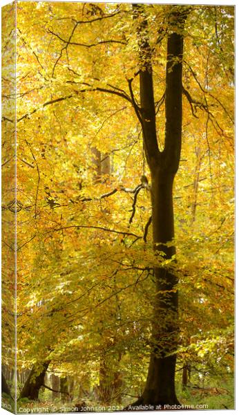 Golden autumn leaves Canvas Print by Simon Johnson