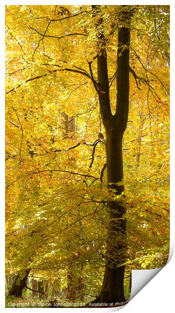 Golden autumn leaves Print by Simon Johnson