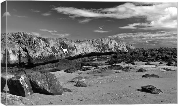 Stag Rock in Black & White Canvas Print by Kevin Tate