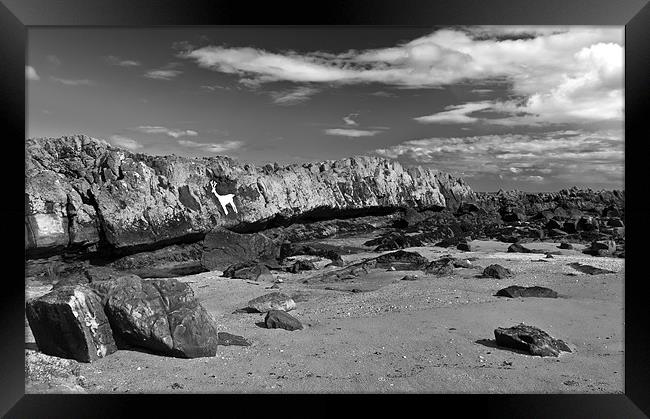 Stag Rock in Black & White Framed Print by Kevin Tate