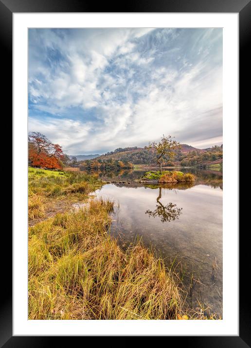 Lone Tree at Autumn Framed Mounted Print by James Marsden