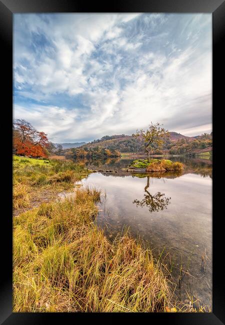 Lone Tree at Autumn Framed Print by James Marsden