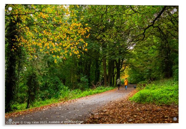 Autumnal Walk Acrylic by Craig Yates