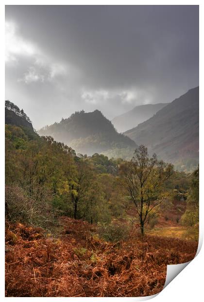 View from Borrowdale  Print by James Marsden
