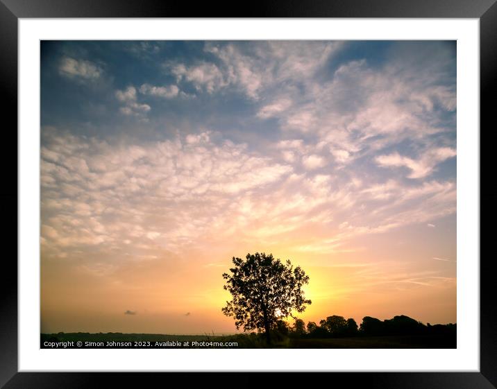 tree silhouette  Framed Mounted Print by Simon Johnson