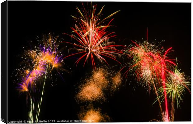 Bonfire Night Display Canvas Print by Ross McNeillie