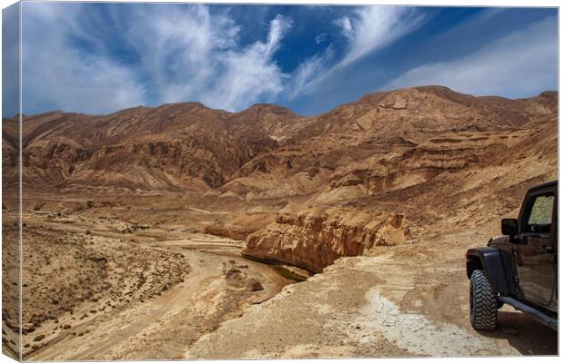 The Negev mountain desert view.  Canvas Print by Olga Peddi