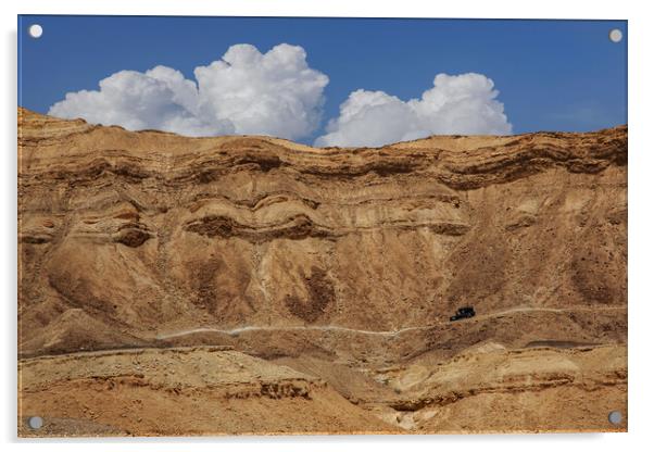 The Negev mountain desert view. Israel Acrylic by Olga Peddi