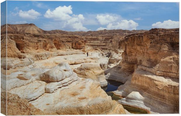 The Negev mountain desert view Canvas Print by Olga Peddi