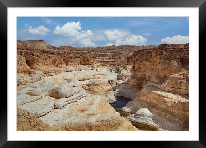 The Negev mountain desert view Framed Mounted Print by Olga Peddi