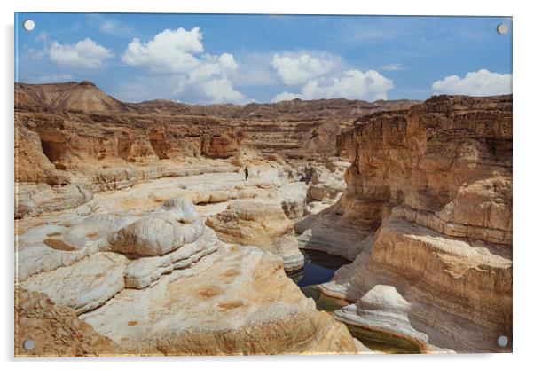 The Negev mountain desert view Acrylic by Olga Peddi