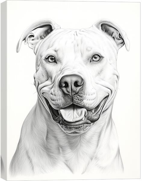 Dogo Argentino Pencil Drawing Canvas Print by K9 Art