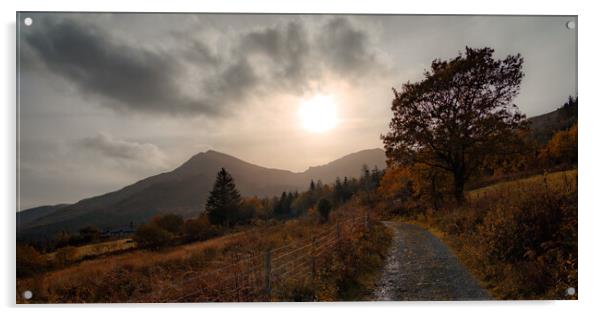 Autumn in Snowdonia  Acrylic by David McGeachie